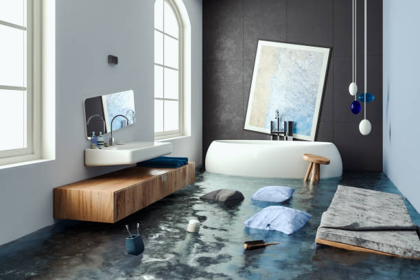 Professional Water damage restoration in WY