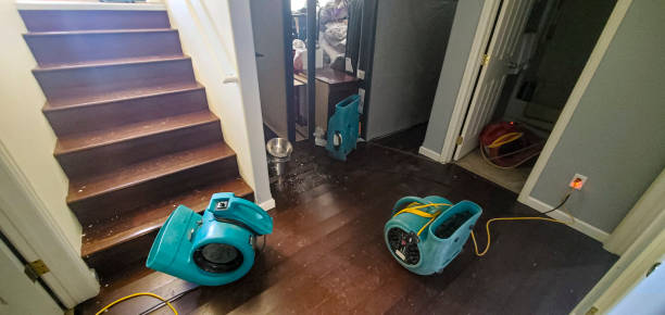 Best Fire Damage Restoration  in Jackson, WY