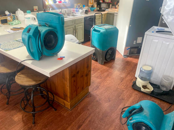 Best Professional water damage repair  in Jackson, WY