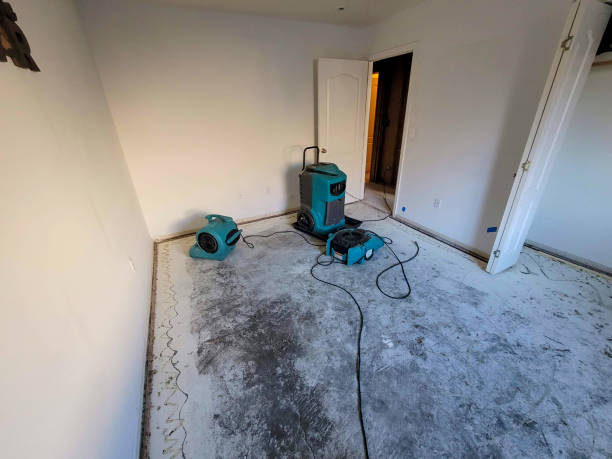 Best Carpet water damage restoration  in Jackson, WY