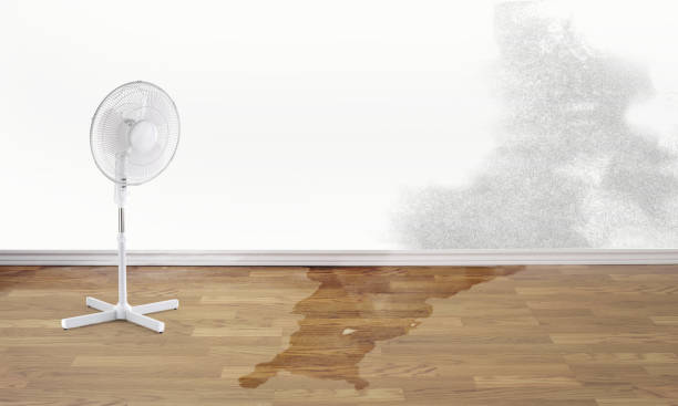 Best 24/7 water damage repair  in Jackson, WY