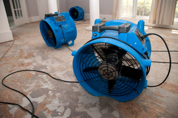 Best Flood restoration services  in Jackson, WY