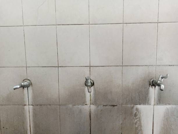 Best Commercial water damage restoration  in Jackson, WY