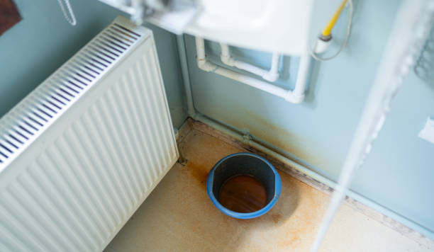 Best Flooded house restoration  in Jackson, WY