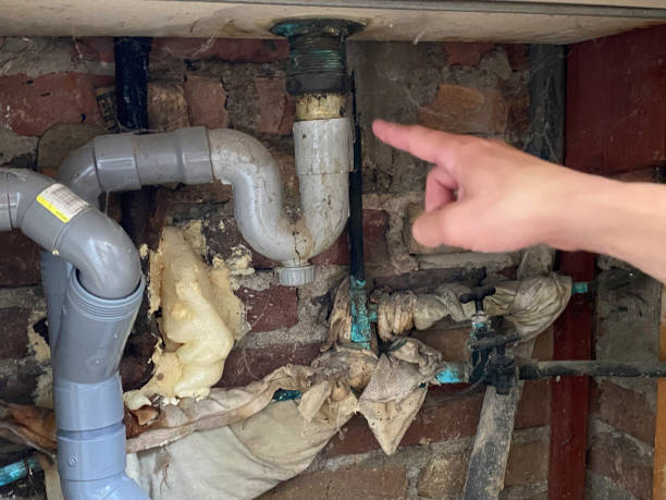 Best Residential water damage restoration  in Jackson, WY