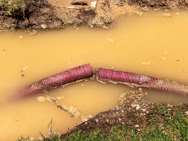 Best Sewage cleanup and water damage restoration  in Jackson, WY