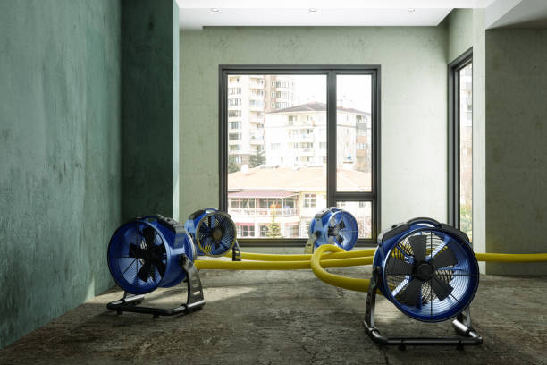Best Ceiling water damage repair  in Jackson, WY