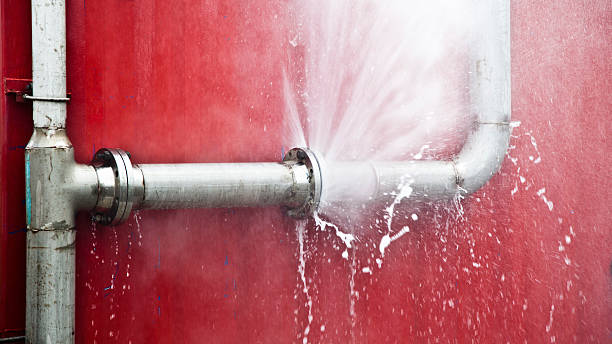 Best Mold removal after water damage  in Jackson, WY