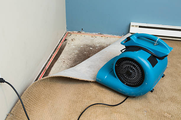 Best Water damage restoration near me  in Jackson, WY