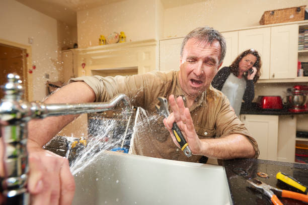 Best Water damage restoration process  in Jackson, WY